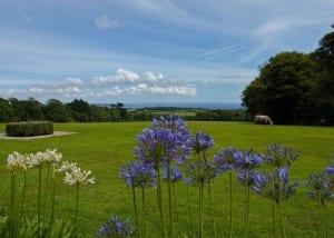 Trengwainton Gardens