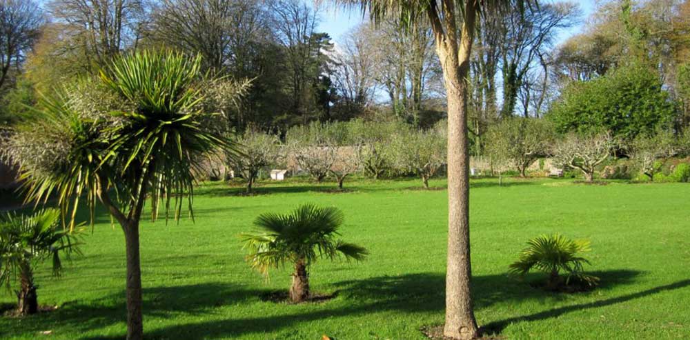 Trengwainton-Gardens