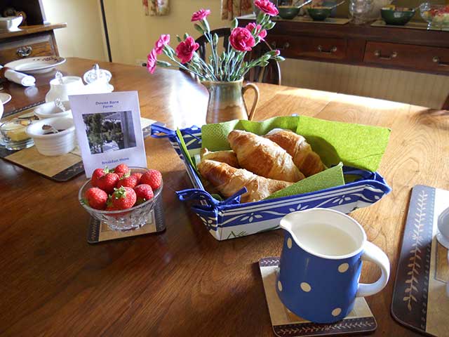 b&b-breakfast-downs-barn-farm Bed and Breakfast Downs Barn Farm
